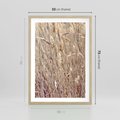 Plakat w ramie 50x70 - Suche Trawy w Wyjątkowym Stylu - suche trawy, boho styl - rama drewno