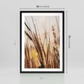 Plakat w ramie 50x70 - Malownicza Łąka z Trawam - trawy, łąka - rama czarna