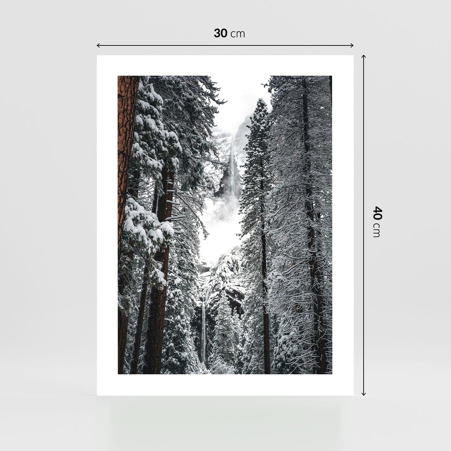 Plakat bez ramy 30x40 - Cicha Magia Zimowego Lasu - zimowy las, ośnieżone drzewa