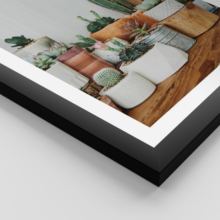 Plakat w ramie 30x40 - Kaktusowa Galeria w Doniczkach - kaktusy w doniczkach, fotografia - rama czarna