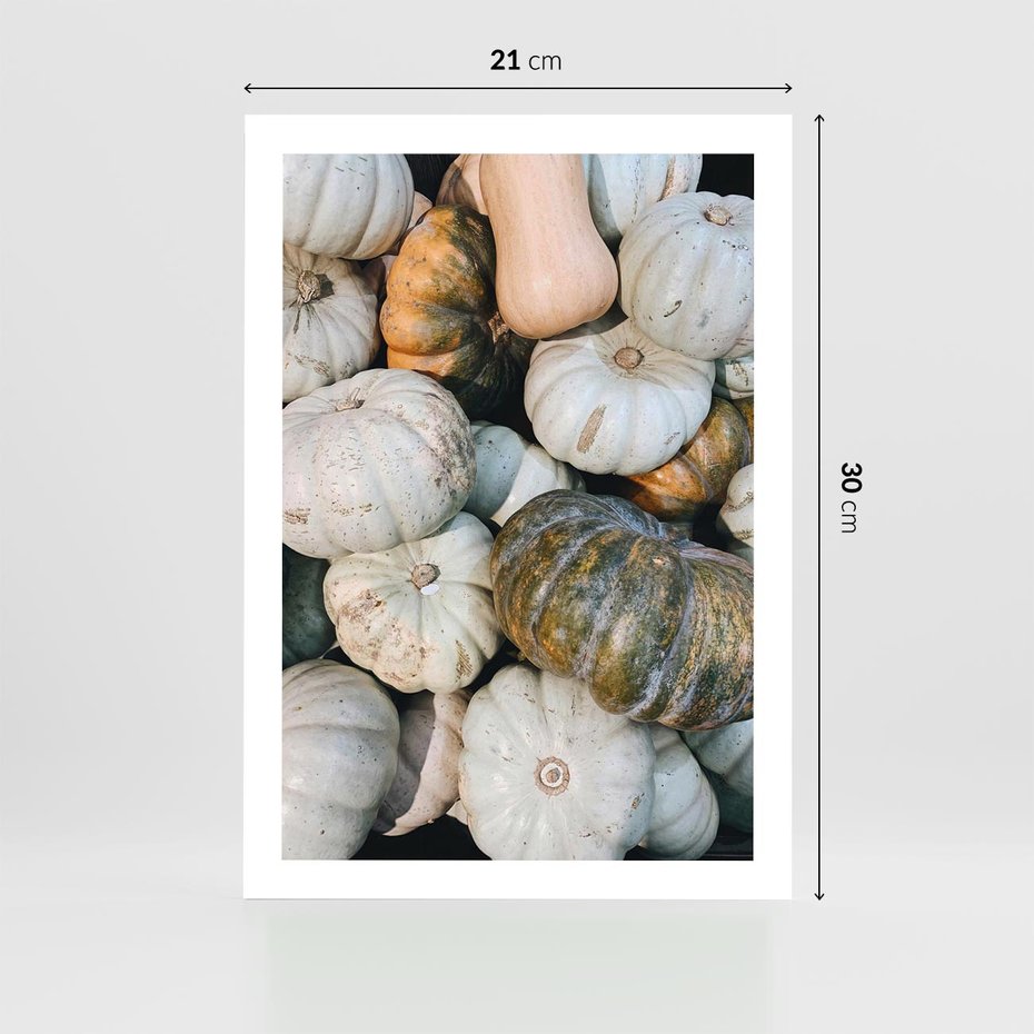 Plakat bez ramy 21x30 - Minimalizm Jesieni - dynie, białe