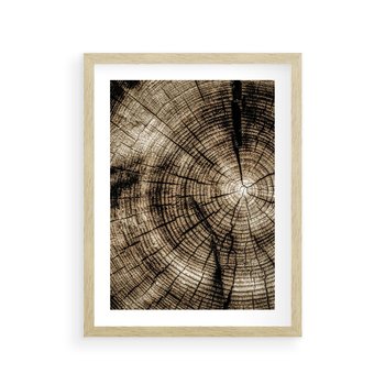 Plakat w ramie 50x70 - Natura Pod Lupą - pień drzewa, przekrój - rama drewno