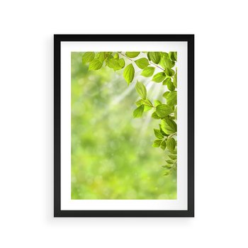 Plakat w ramie 40x50 - Zielone liście natury - liści, zieleń - rama czarna