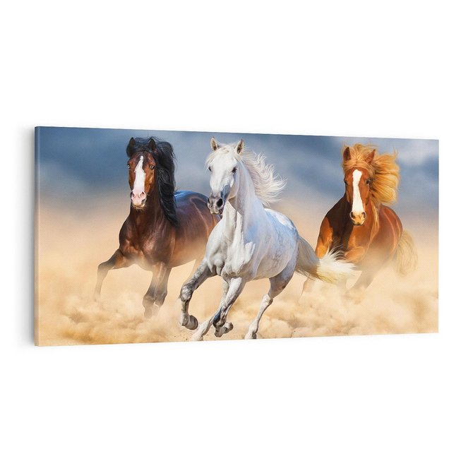 Obraz na płótnie 100x50 - Siła i elegancja - konie, galop