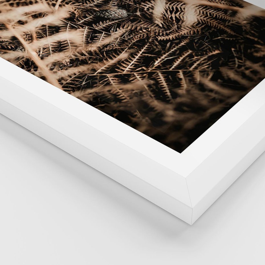 Plakat w ramie 30x40 - Liście i Paprocie - suche liście, paprocie - rama biała