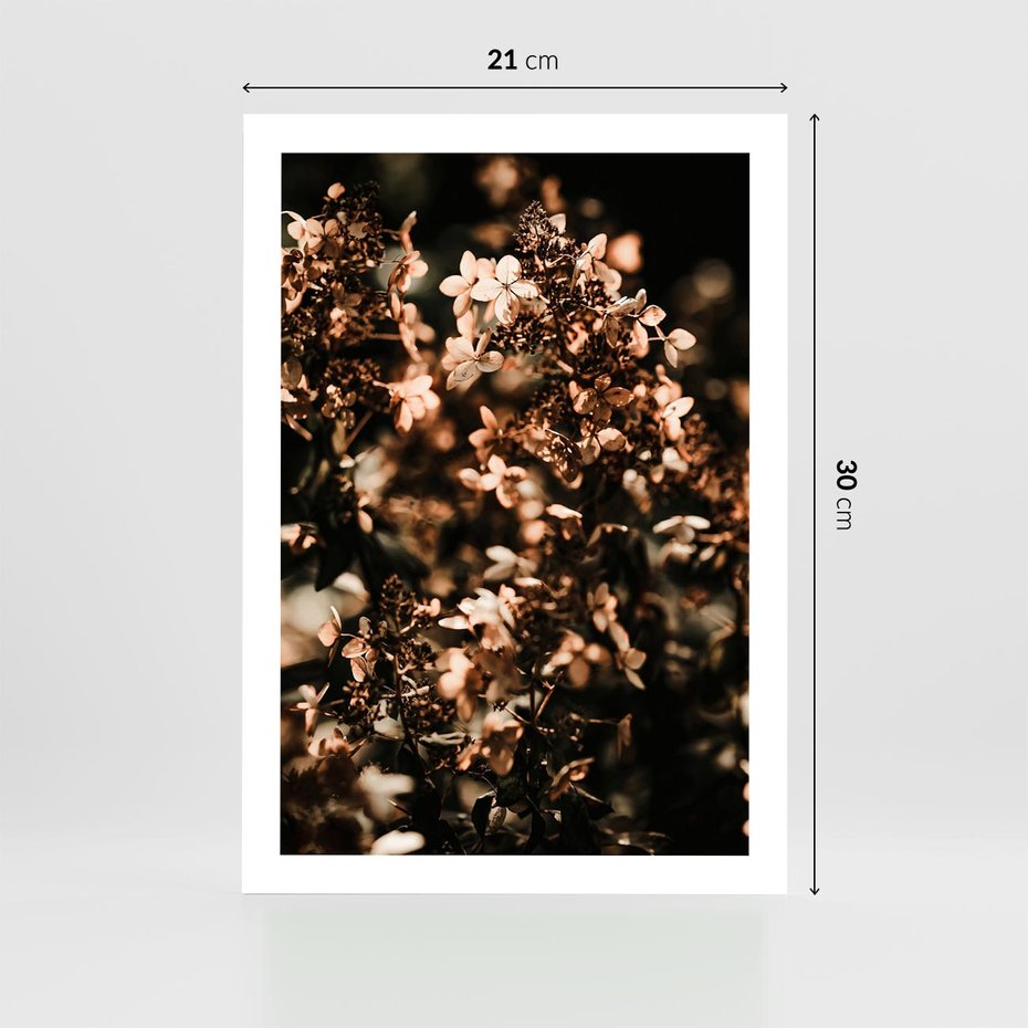 Plakat bez ramy 21x30 - Sucha Kompozycja Kwiatów - suche kwiaty hortensji