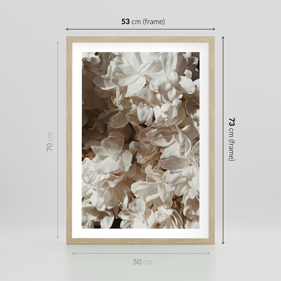 Plakat w ramie 50x70 - Płatki w Detalu - białe kwiaty, zbliżenie - rama drewno