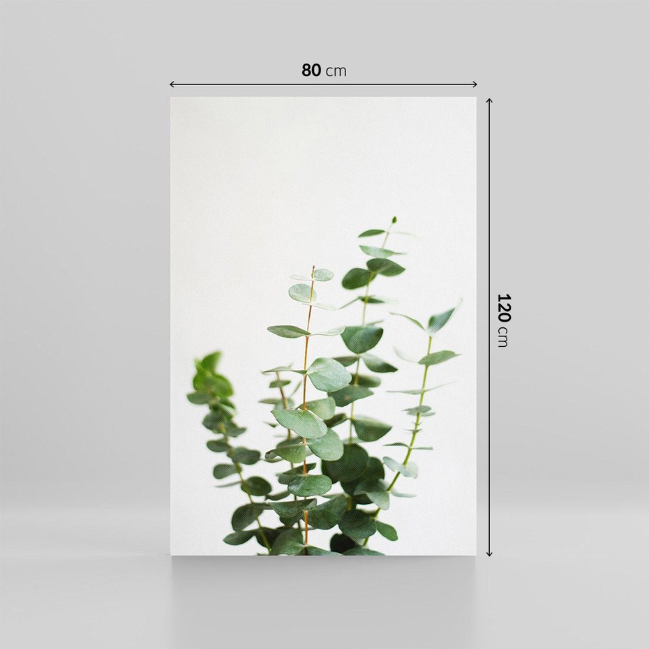 Obraz na płótnie 80x120 - Żywa eukaliptusowa zieleń - eukaliptus, zielone