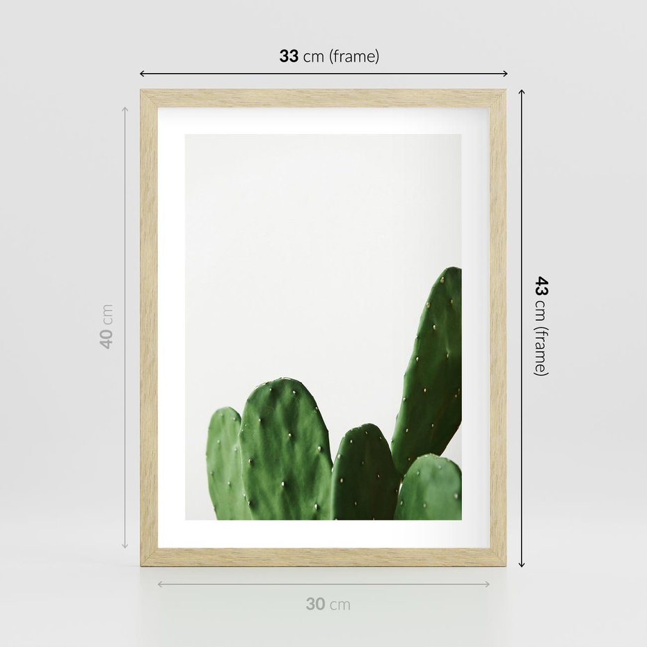 Plakat w ramie 30x40 - Minimalizm Natury - kaktus, zbliżenie - rama drewno