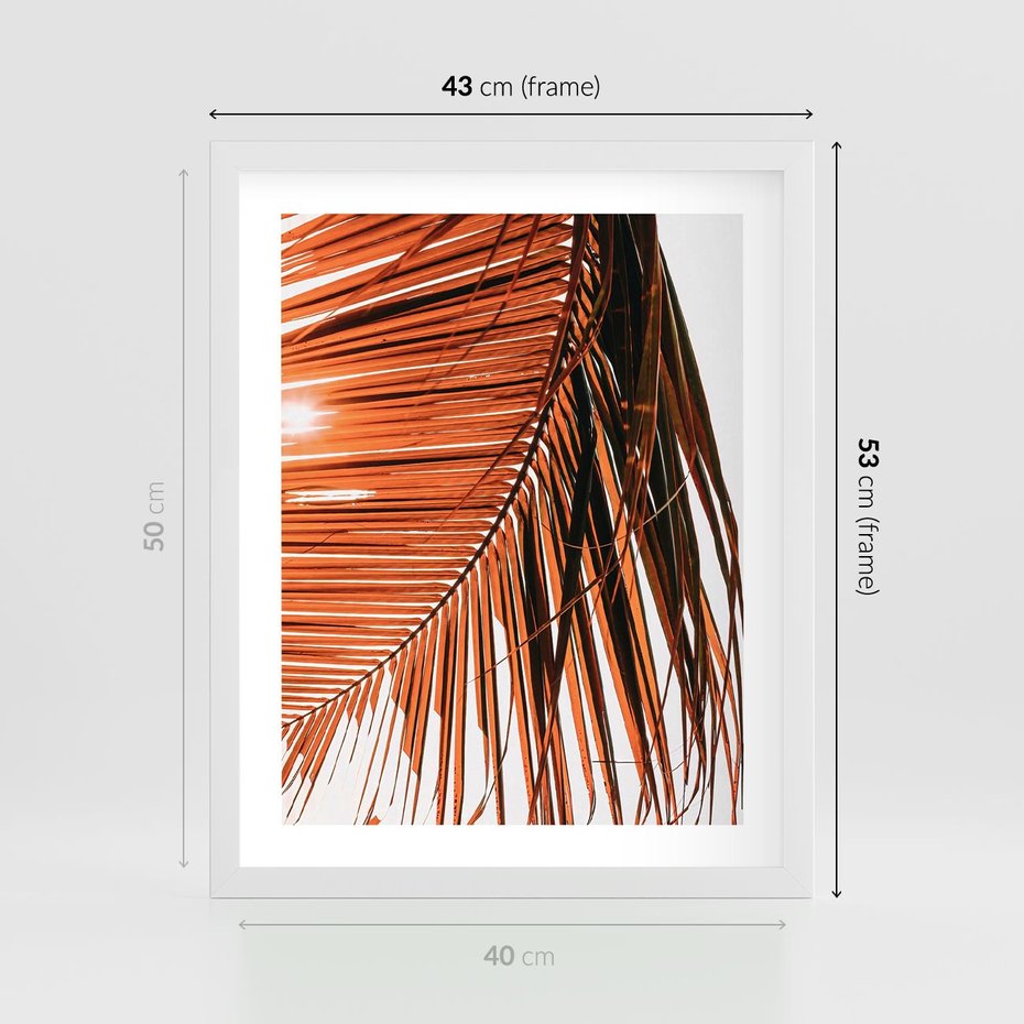 Plakat w ramie 40x50 - Słońce na Palmie - palma, promienie słońca - rama biała