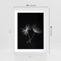 Plakat w ramie 30x40 - Delikatność Wiatru - dmuchawce, makro - rama biała