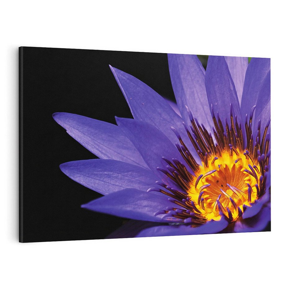 Obraz na płótnie 120x80 - Kwiatowa harmonia: Piękno natury - kwiat, kwiaty