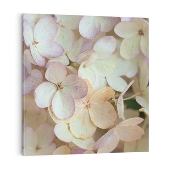 Obraz na płótnie 70x70 - Kwiatowy taniec - kwiaty, hortensje