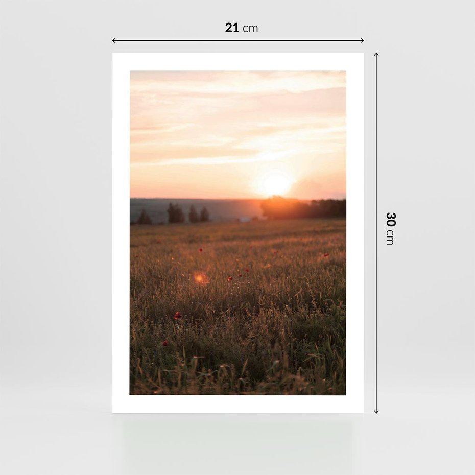 Plakat bez ramy 21x30 - Łąka we Wschodzącym Słońcu: Magia Poranka - łąka, krajobraz