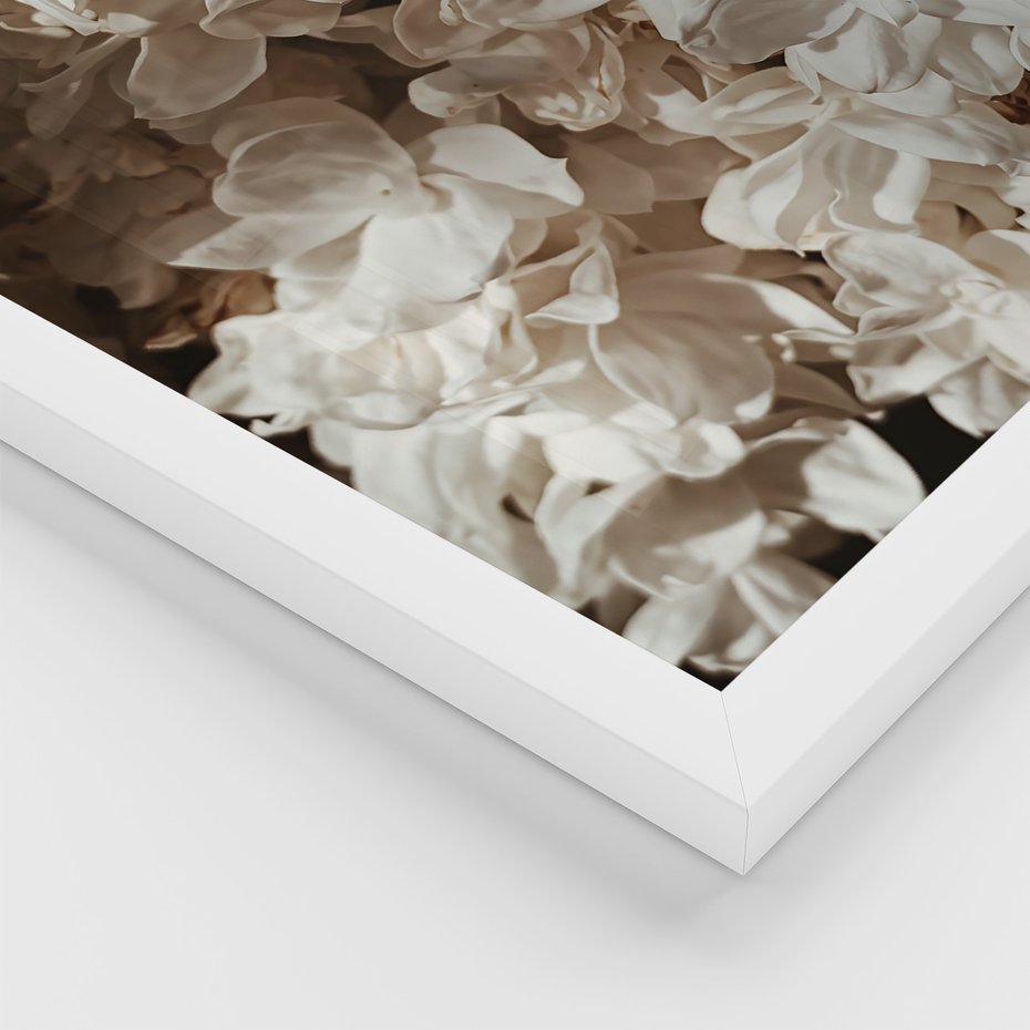 Zestaw obrazy w ramie 50x70 galeria - Kwiaty, róże, kawa - rama biała