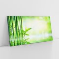 Obraz na płótnie 120x60 - Bambusowy relaks w SPA - bambus, SPA