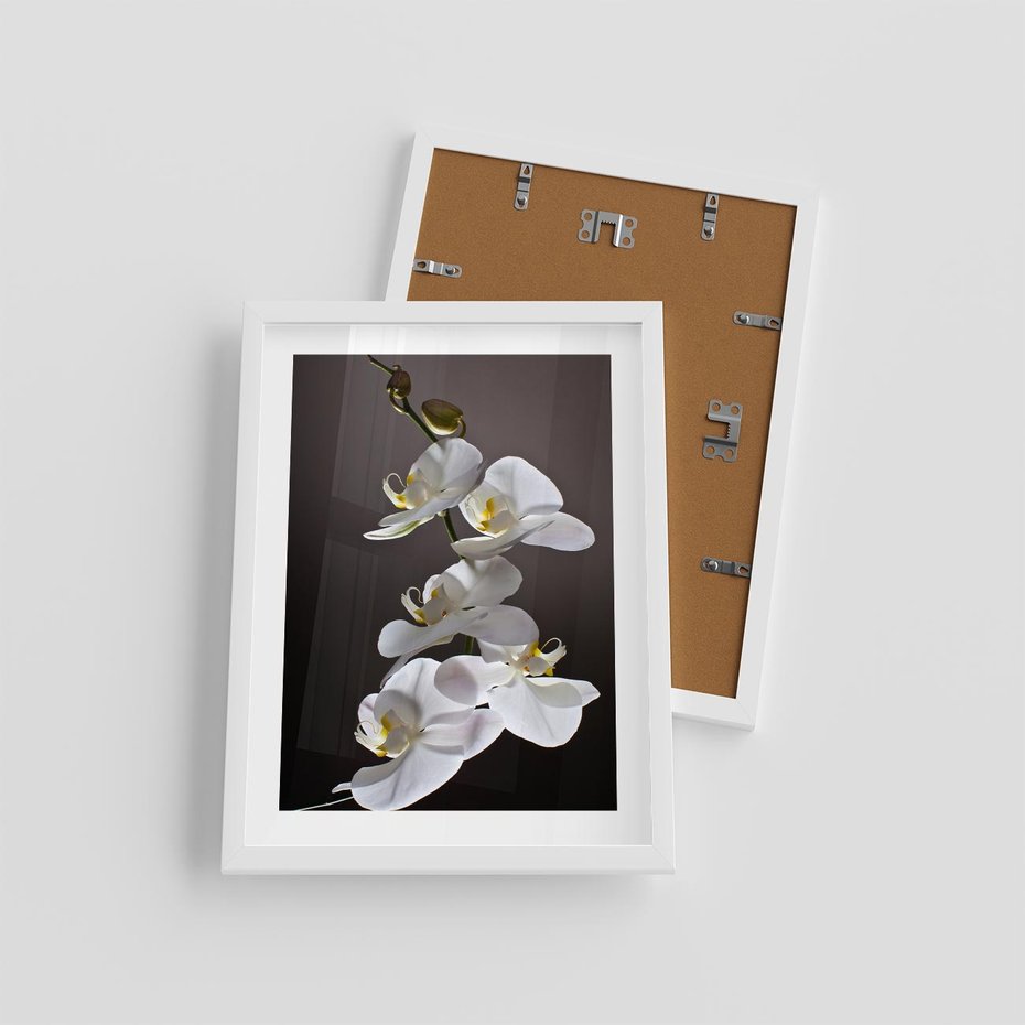 Plakat w ramie 30x40 - SPA: harmonia z kwiatami - spa, kwiaty - rama biała