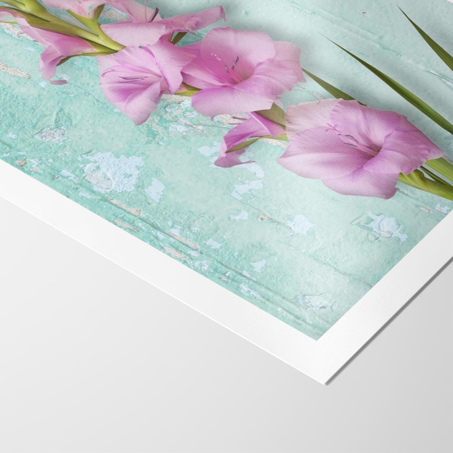 Plakat bez ramy 30x40 - Piękno w delikatności - kwiaty, różowe