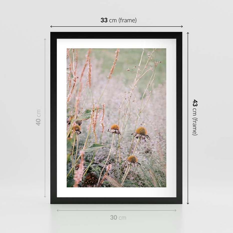 Plakat w ramie 30x40 - Przyroda w Pełnym Blasku: Kolorowa łąka z Kwiatami - łąka, kwiaty na łące - rama czarna