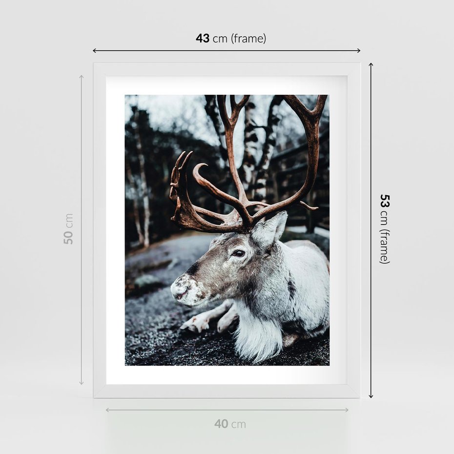 Plakat w ramie 40x50 - W Zimowej Krainie - renifer, zima - rama biała