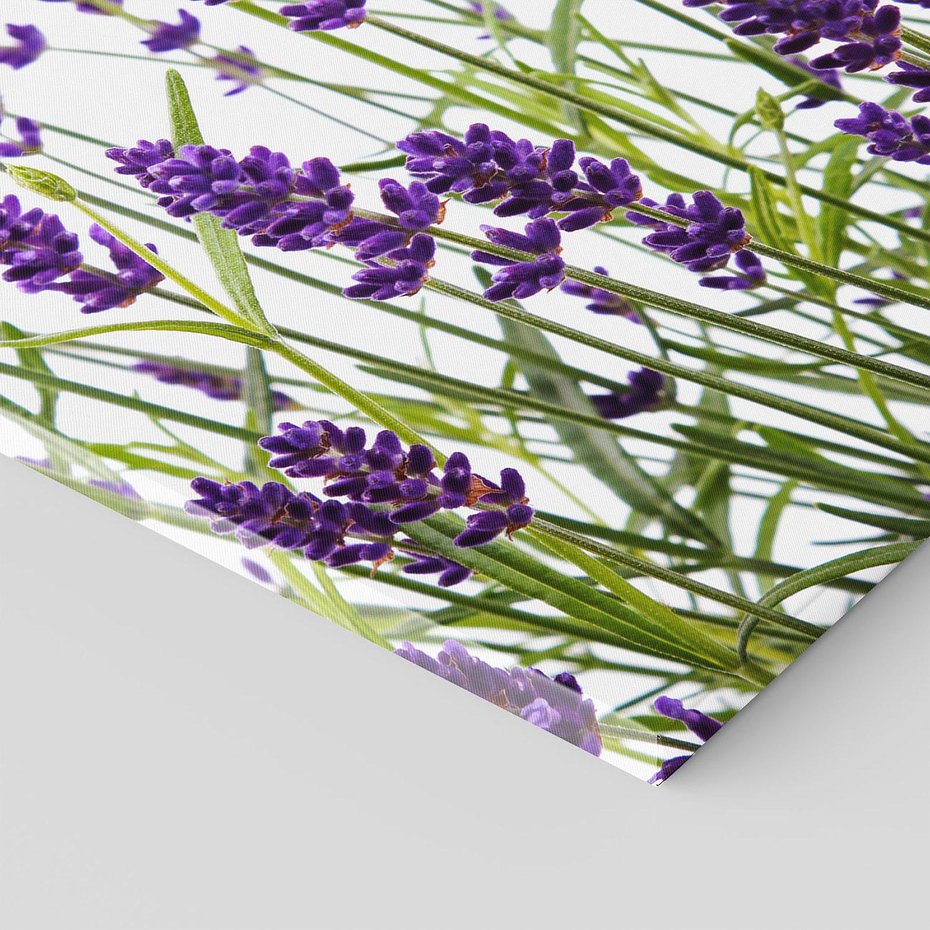 Obraz na płótnie 70x70 - Fioletowa harmonia lawendy - lawenda, fiolet