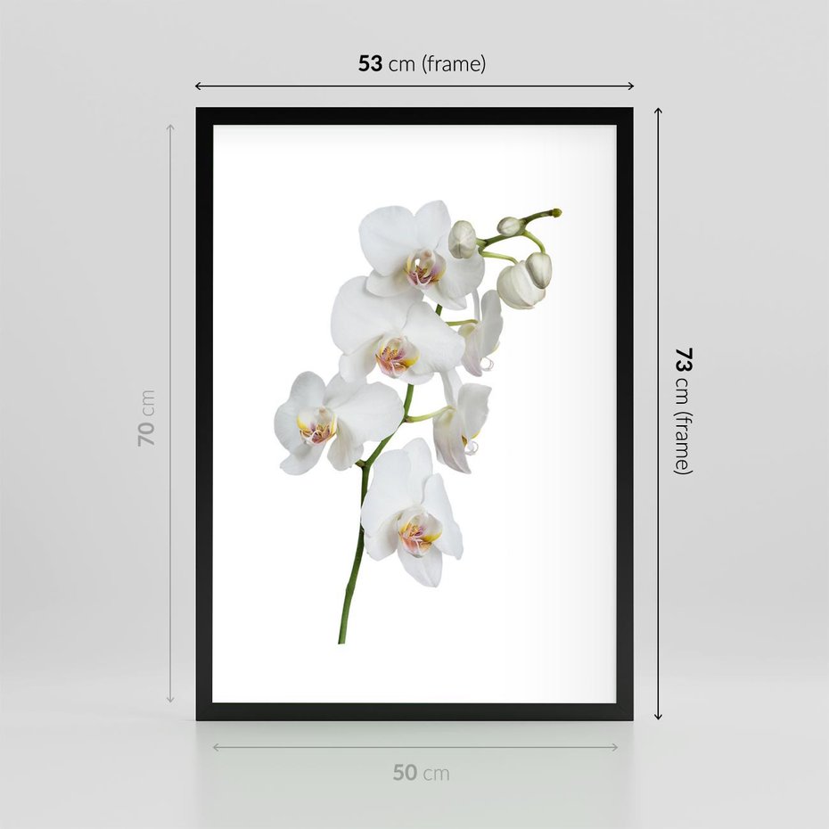 Plakat w ramie 50x70 - Ekskluzywny Relaks - storczyk, spa - rama czarna