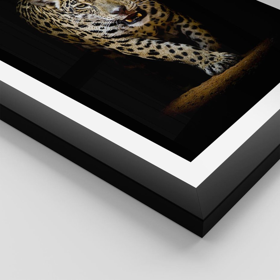 Plakat w ramie 40x50 - Elegancja lamparta - lampart, pantera - rama czarna