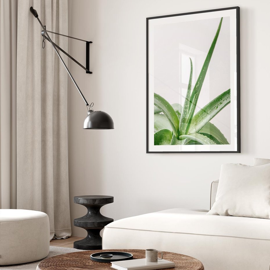 Plakat bez ramy 50x70 - Zielone Piękno - aloes, liście