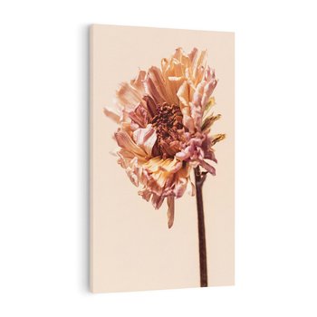 Obraz na płótnie 70x100 - Delikatne piękno - suche, kwiaty