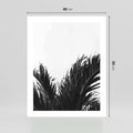 Plakat bez ramy 40x50 - Tropikalna Uroda w Czerni i Bieli - fotografia czarno biała, liście palmy