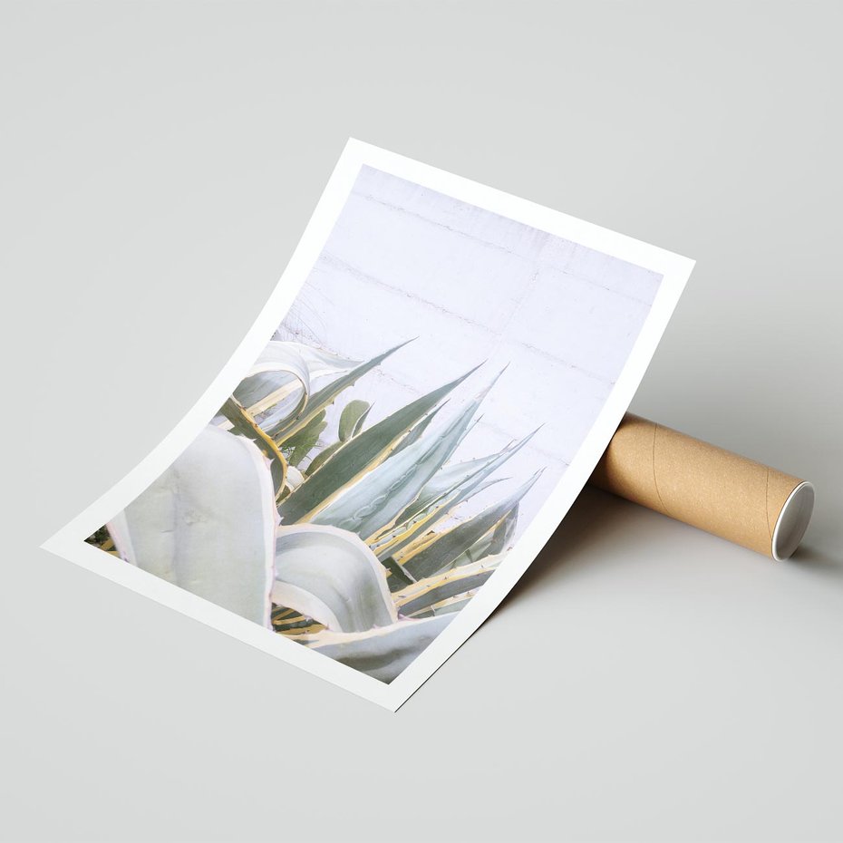 Plakat bez ramy 21x30 - Sukulentowe liście - liście, sukulenty