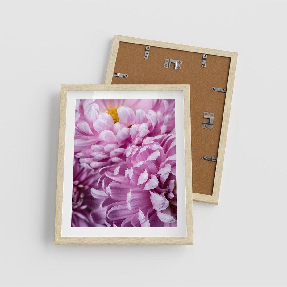 Plakat w ramie 40x50 - Fioletowy zawrót głowy - kwiat, różowy kwiat - rama drewno