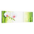 Obraz na płótnie 150x50 - Orchidea, Bambus i Relaks w SPA - orchidea, kwiat