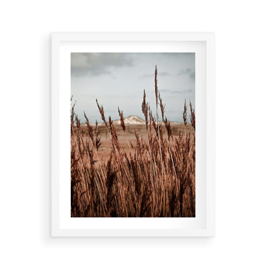 Plakat w ramie 40x50 - Wysokie Trawy w Górskim Krajobrazie - suche trawy, wysokie trawy - rama biała