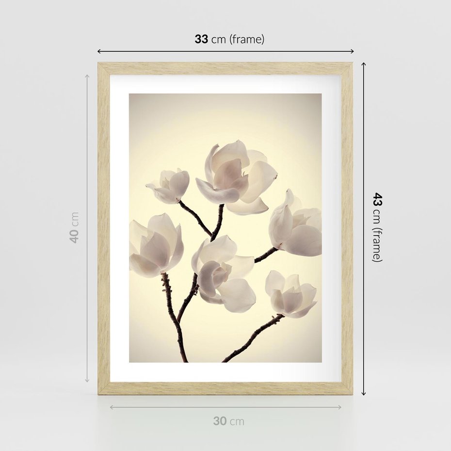Plakat w ramie 30x40 - Elegancja Natury - magnolia, białe - rama drewno