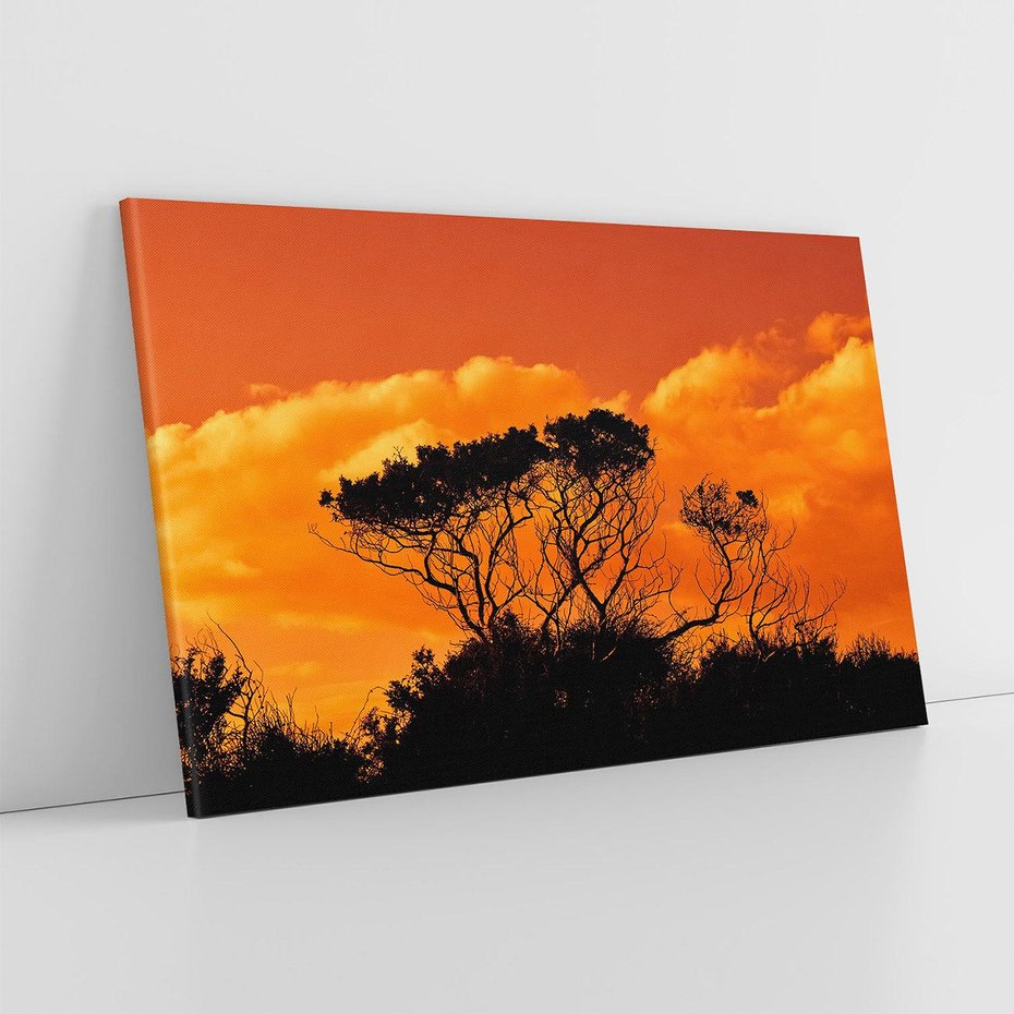 Obraz na płótnie 120x80 - Magiczne Drzewa na Tle Rozległej Sawanny - drzewa, sawanna