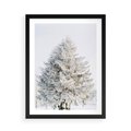 Plakat w ramie 50x70 - Zimowa Poezja w Ośnieżonym Drzewie - ośnieżone drzewo, zima - rama czarna