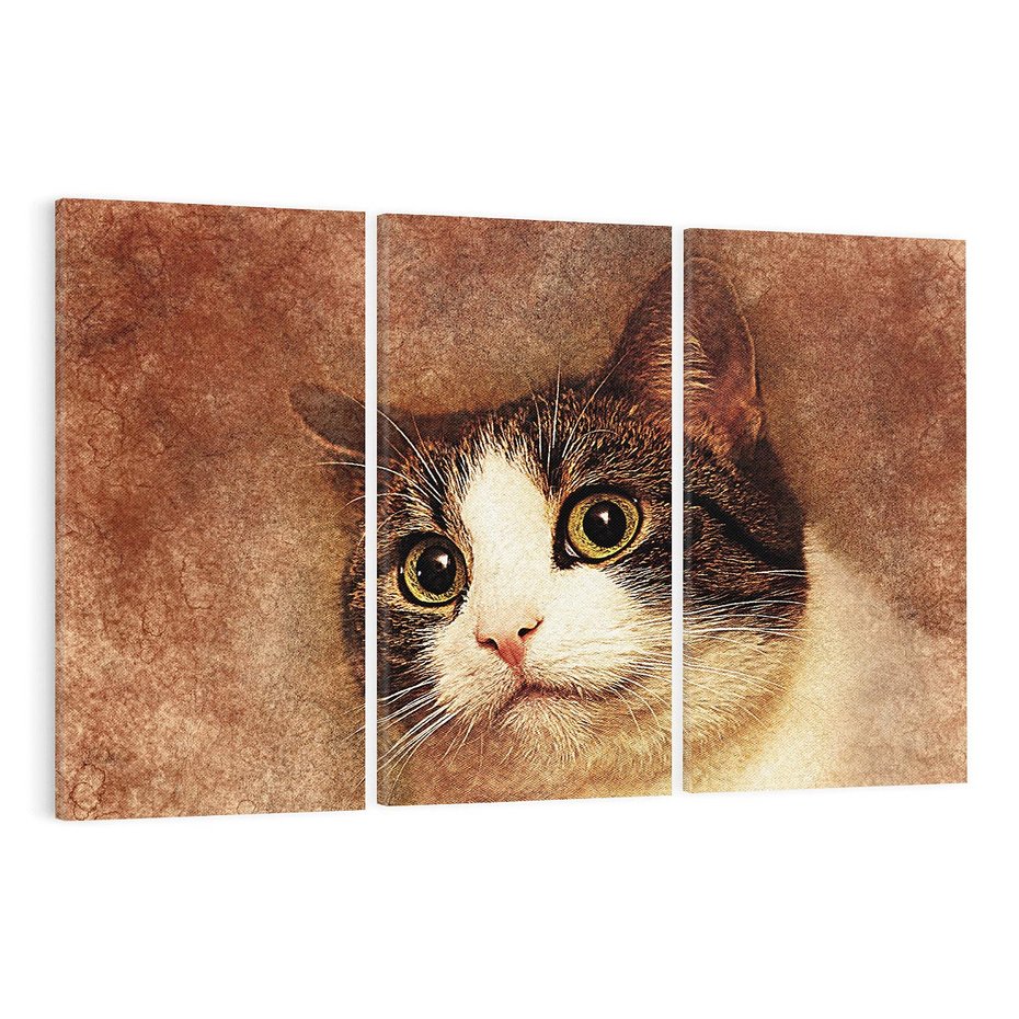 Obraz na płótnie 120x80 - Kot w abstrakcyjnej formie - kot, sztuka