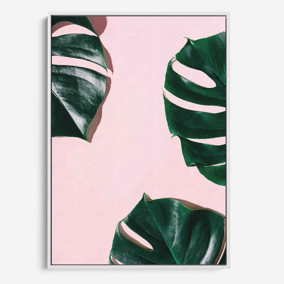 Obraz w ramie 70x100 - Siła Natury - liście, monstera - rama biała