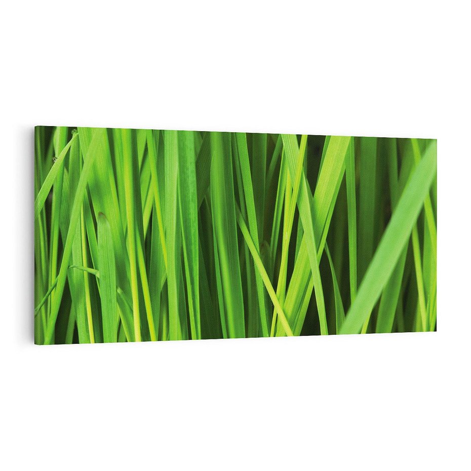 Obraz na płótnie 100x50 - Trawa w abstrakcji: natura przekształcona - trawa, abstrakcja