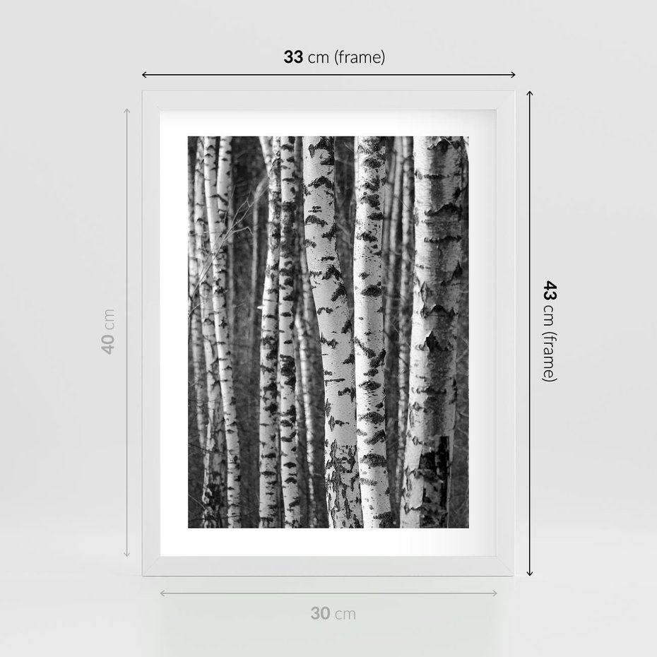Plakat w ramie 30x40 - Kontrast Monochromatyczny - brzozy, czarno - rama biała