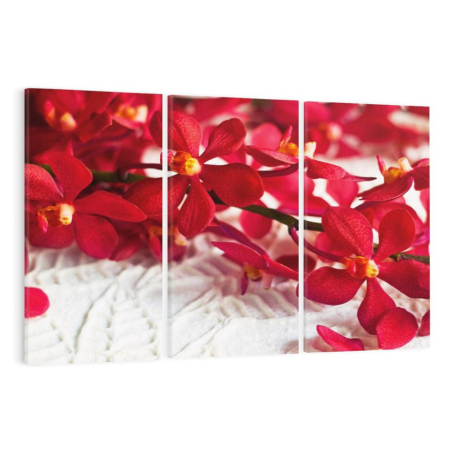 Obraz na płótnie 120x80 - Delikatność Kwiatowej Elegancji - orchidea, kwiat