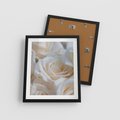 Plakat w ramie 40x50 - Białe róże piękności - białe, róże - rama czarna