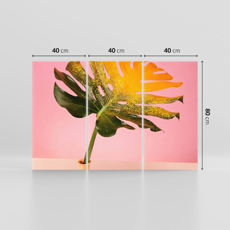 Obraz na płótnie 120x80 - Egzotyczna monstera - monstera, liść