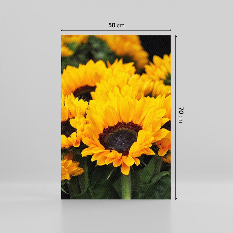 Obraz na płótnie 50x70 - promień słoneczny w kwiatowym świecie - słoneczniki, kwiat