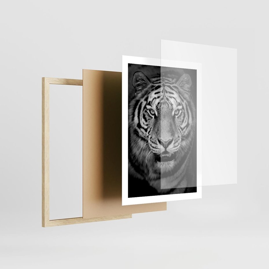 Plakat w ramie 50x70 - Tygrys Czarno-Biały: Siła i Delikatność - tygrys, czarno - rama drewno