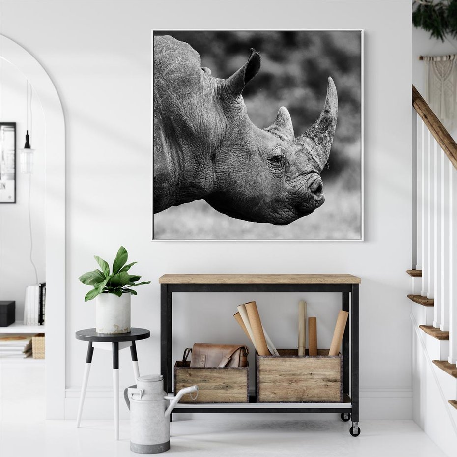 Obraz w ramie 50x50 - Potęga Afryki - czarno biała fotografia, zbliżenie na postać nosorożca - rama biała