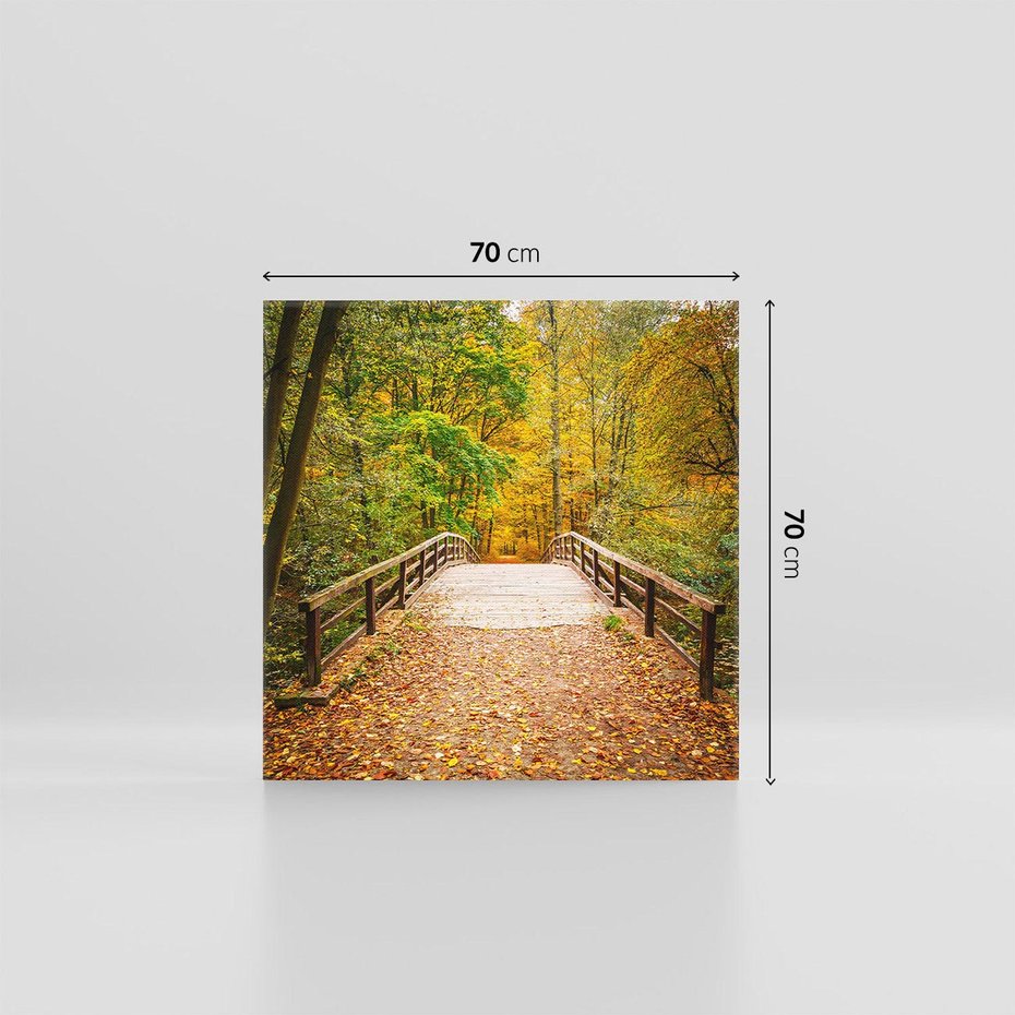 Obraz na płótnie 70x70 - Spacer Ścieżką w Las - ścieżka, spacer