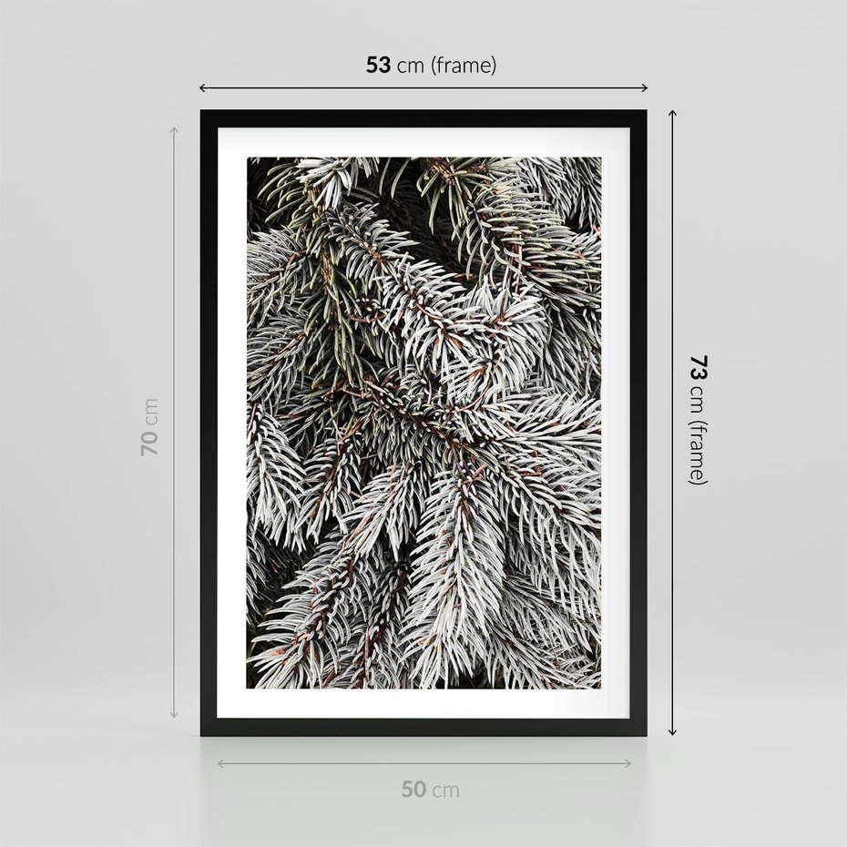 Plakat w ramie 50x70 - Cisza Zimowej Natury - zima, iglaste gałązki - rama czarna
