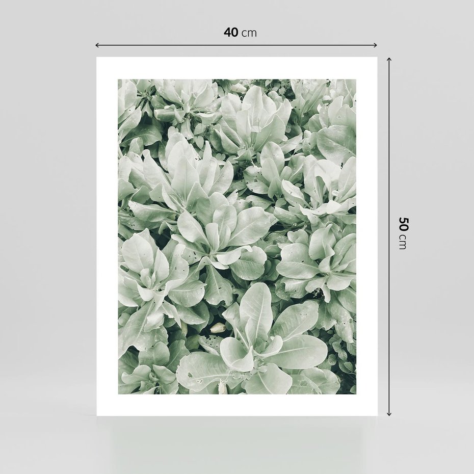 Plakat bez ramy 40x50 - Liście w Jasnych Odcieniach Zielonego - liście, jasna zieleń fotografia